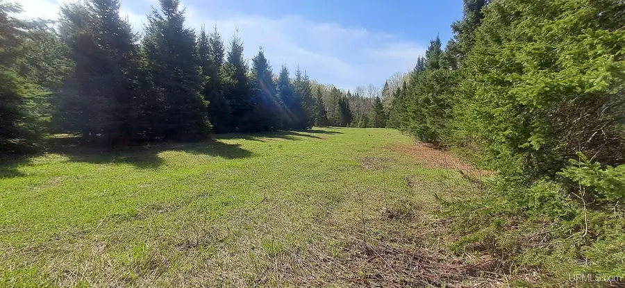 TBD County H26, Rock, MI 49880 - #3
