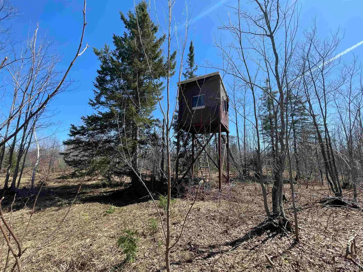 TBD N County 519, Wakefield, MI 49968 - #1