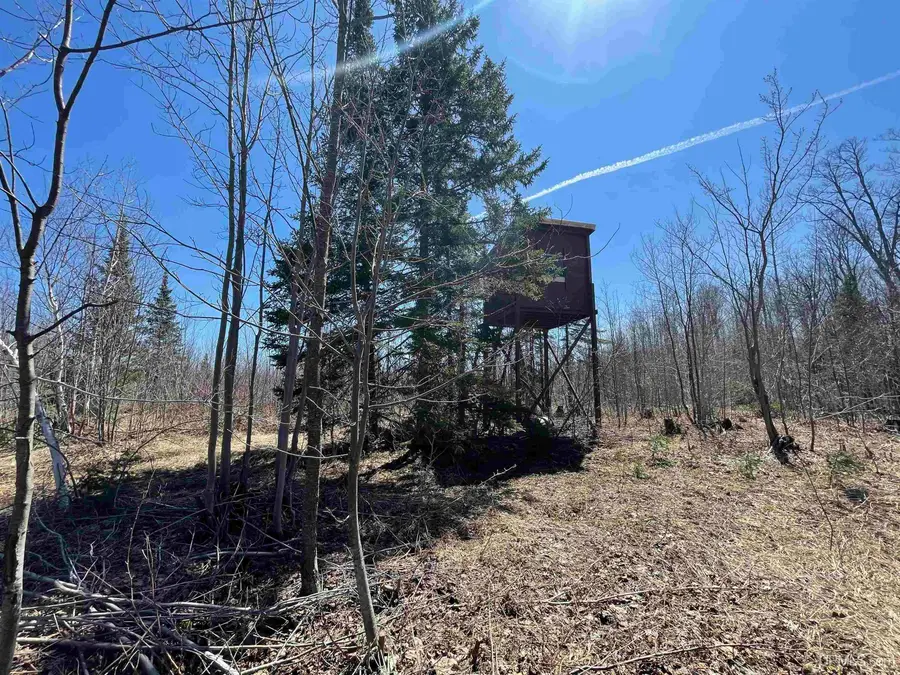 TBD N County 519, Wakefield, MI 49968 - #3