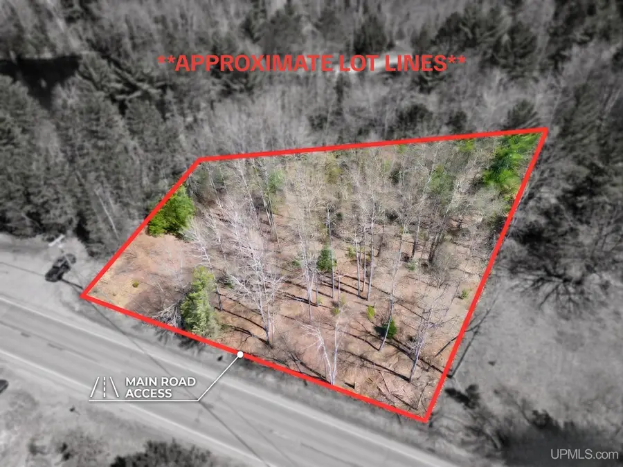 TBD County Road 581, Ishpeming, MI 49849 - #2