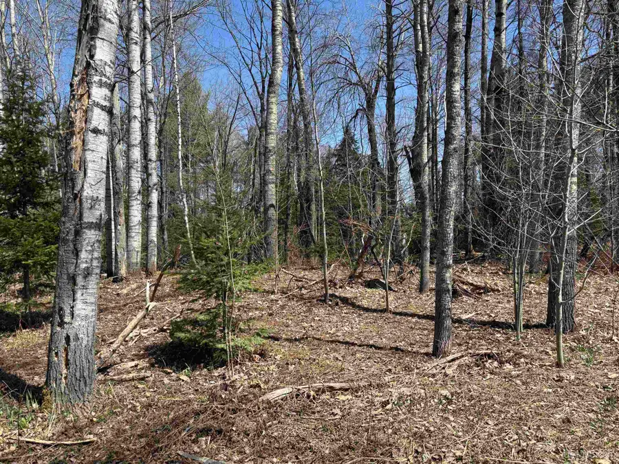 TBD County Road 581, Ishpeming, MI 49849 - #3