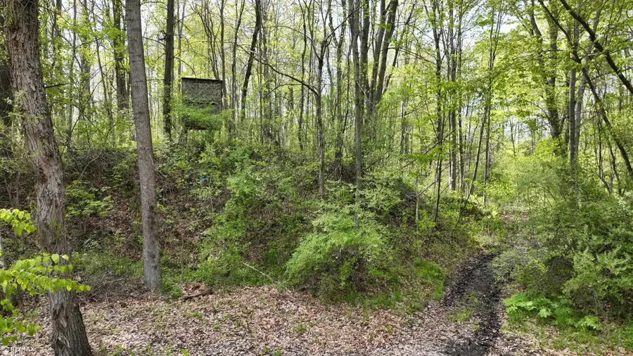 0000 Miller Lake, Columbiaville, MI 48421 - #2