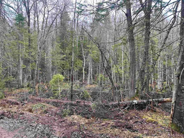 TBD Forestville / Co Rd Ht, Marquette, MI 49855