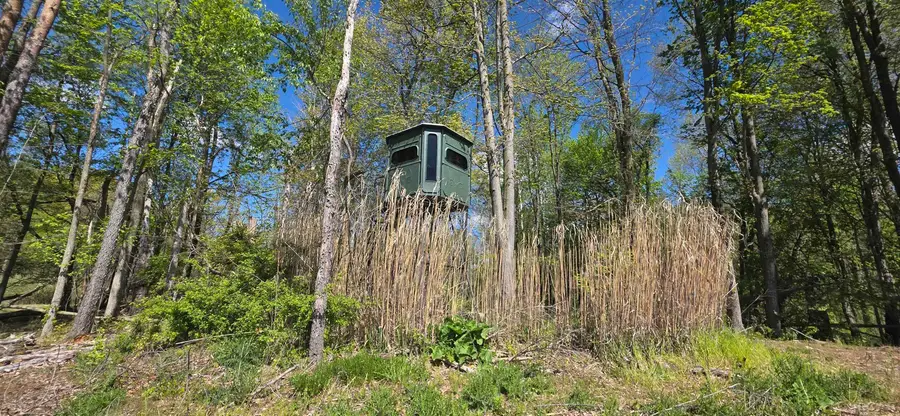 15252 27 Mile, Albion, MI 49224 - #2