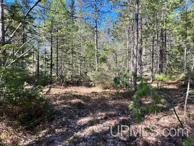 Unit 61 Little Rice Lake, Lake Linden, MI 49945 - #1