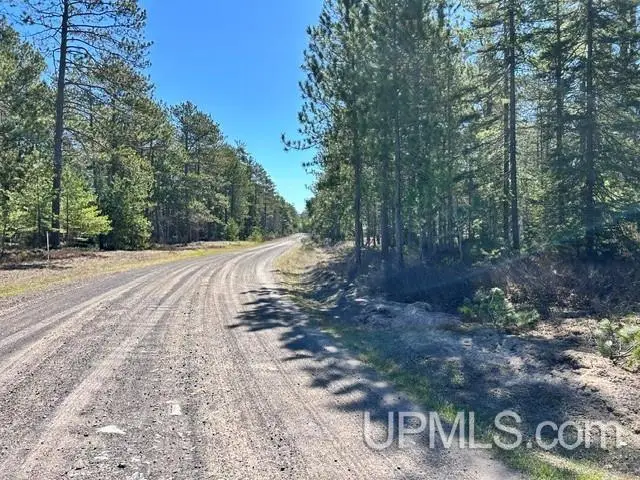 Unit 61 Little Rice Lake, Lake Linden, MI 49945 - #2