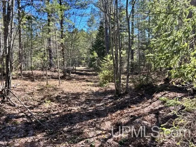 Unit 61 Little Rice Lake, Lake Linden, MI 49945 - #3