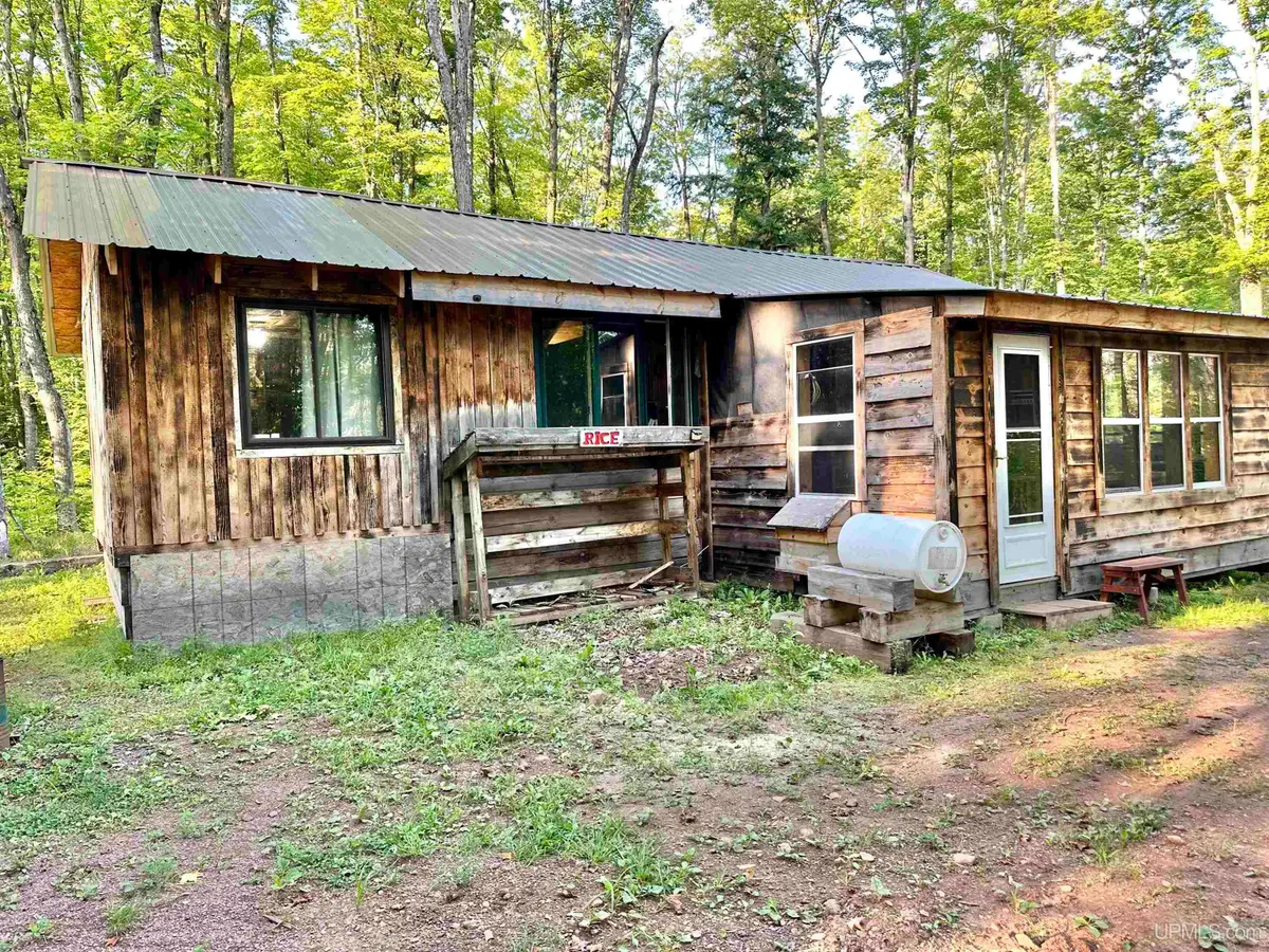11301W Box Spring Road, Pence, WI 54559 - #1