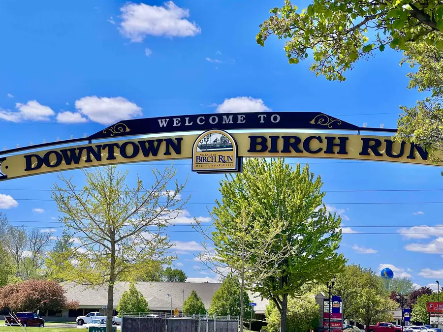 1546 E Birch Run, Burt, MI 48417 - #2