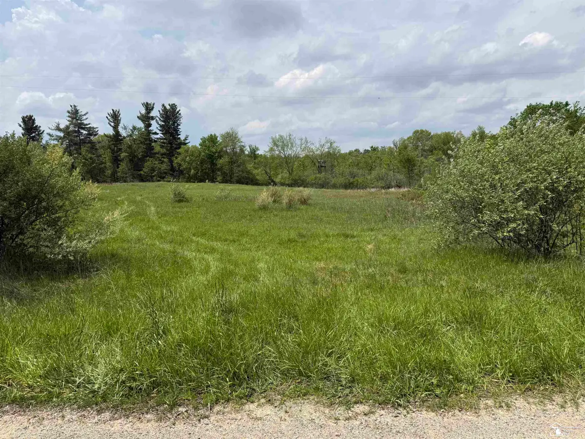 1 Clark & Burt, Ransom, MI 49239 - #1