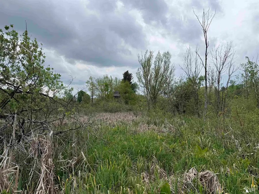 1 Clark & Burt, Ransom, MI 49239 - #2