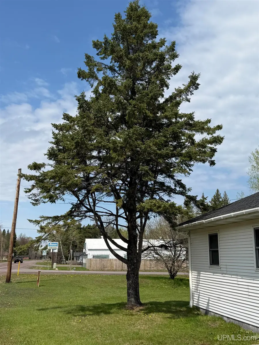 42976 Willson Memorial, Chassell, MI 49916 - #3