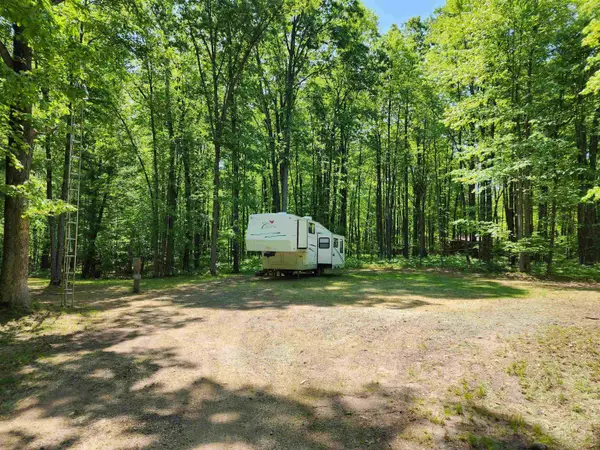 4239 White Birch, Farwell, MI 48622