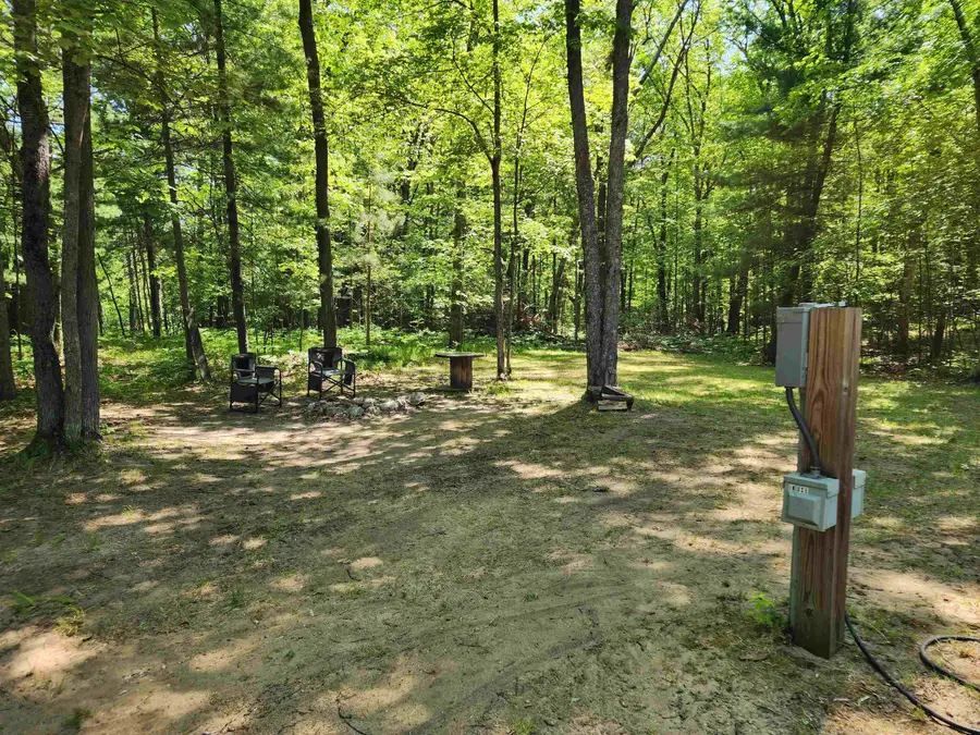 4239 White Birch, Farwell, MI 48622 - #3