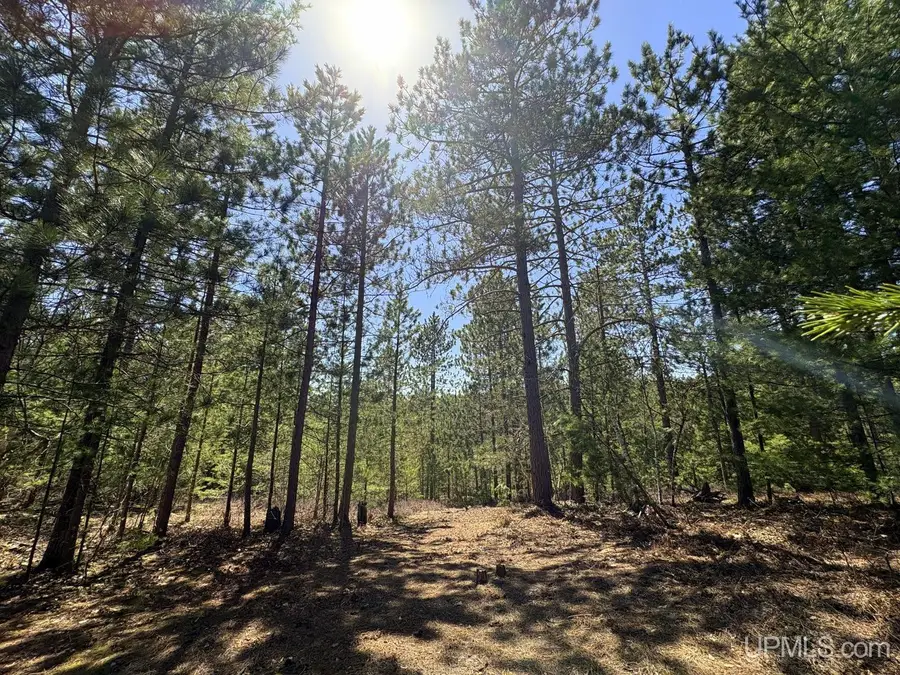 TBD Valley, Gwinn, MI 49841 - #2
