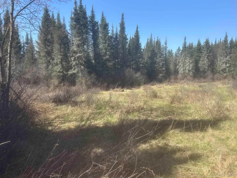 TBD Goodhall, Iron River, MI 49935 - #2