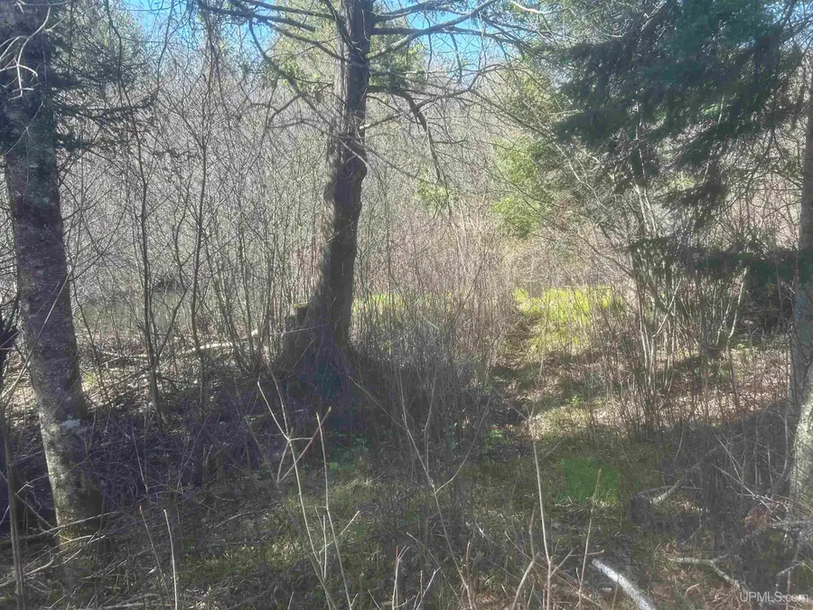 TBD Goodhall, Iron River, MI 49935 - #3