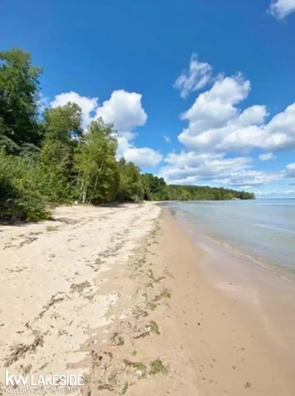 6248 Lakeshore, Palms, MI 48465 - #1