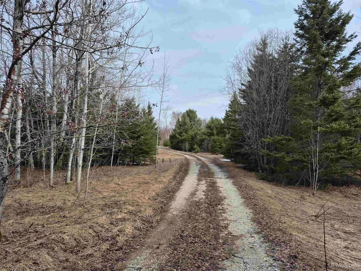 3754 W Quarry, Gulliver, MI 49840 - #1