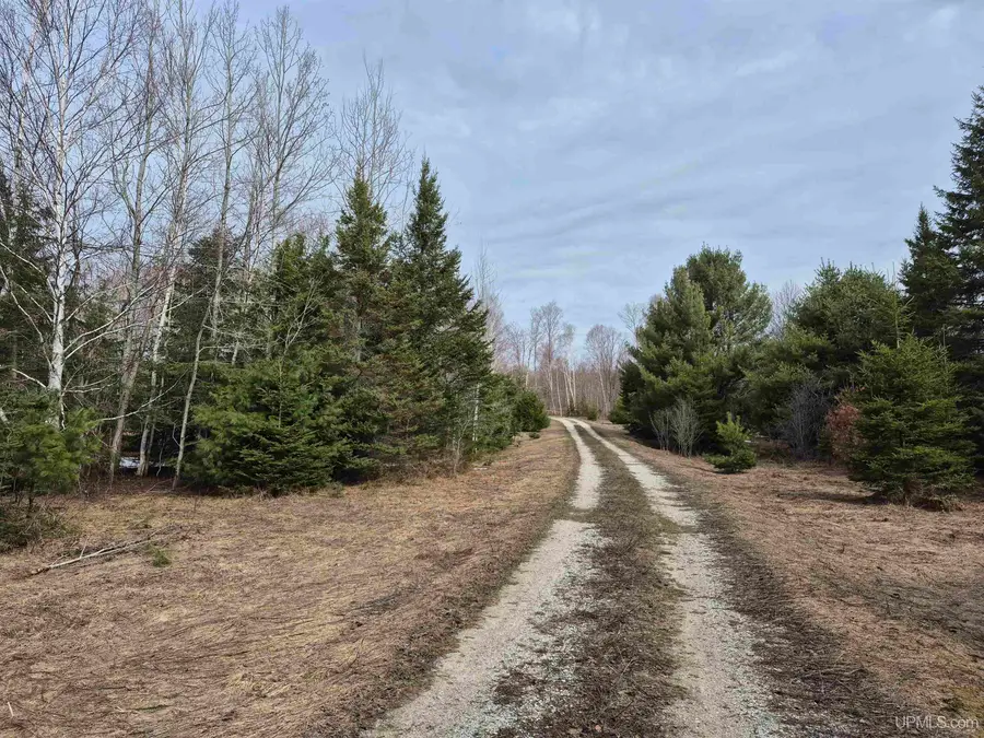 3754 W Quarry, Gulliver, MI 49840 - #2