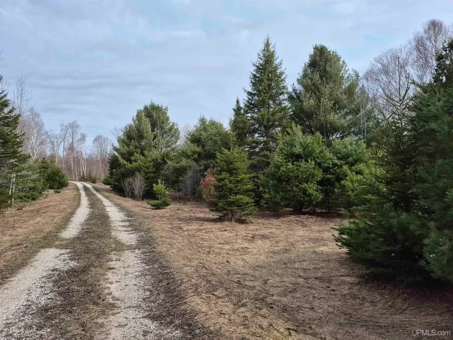 3754 W Quarry, Gulliver, MI 49840 - #3