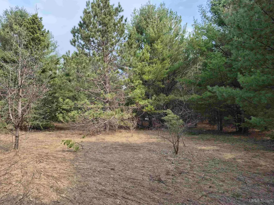 East 20 Quarry, Gulliver, MI 49840 - #2