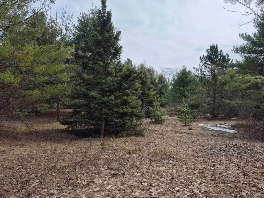 East 20 Quarry, Gulliver, MI 49840 - #3