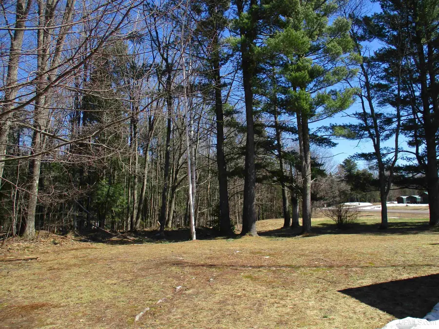 10112 M38, Greenland, MI 49929 - #2