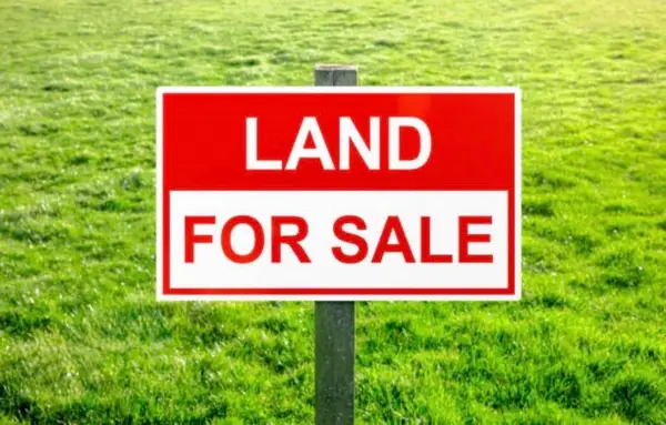Lawndale, Saginaw, MI 48604