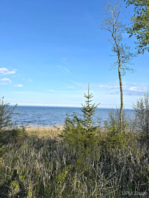 TBD Lot 2 M-35, Menominee, MI 49858