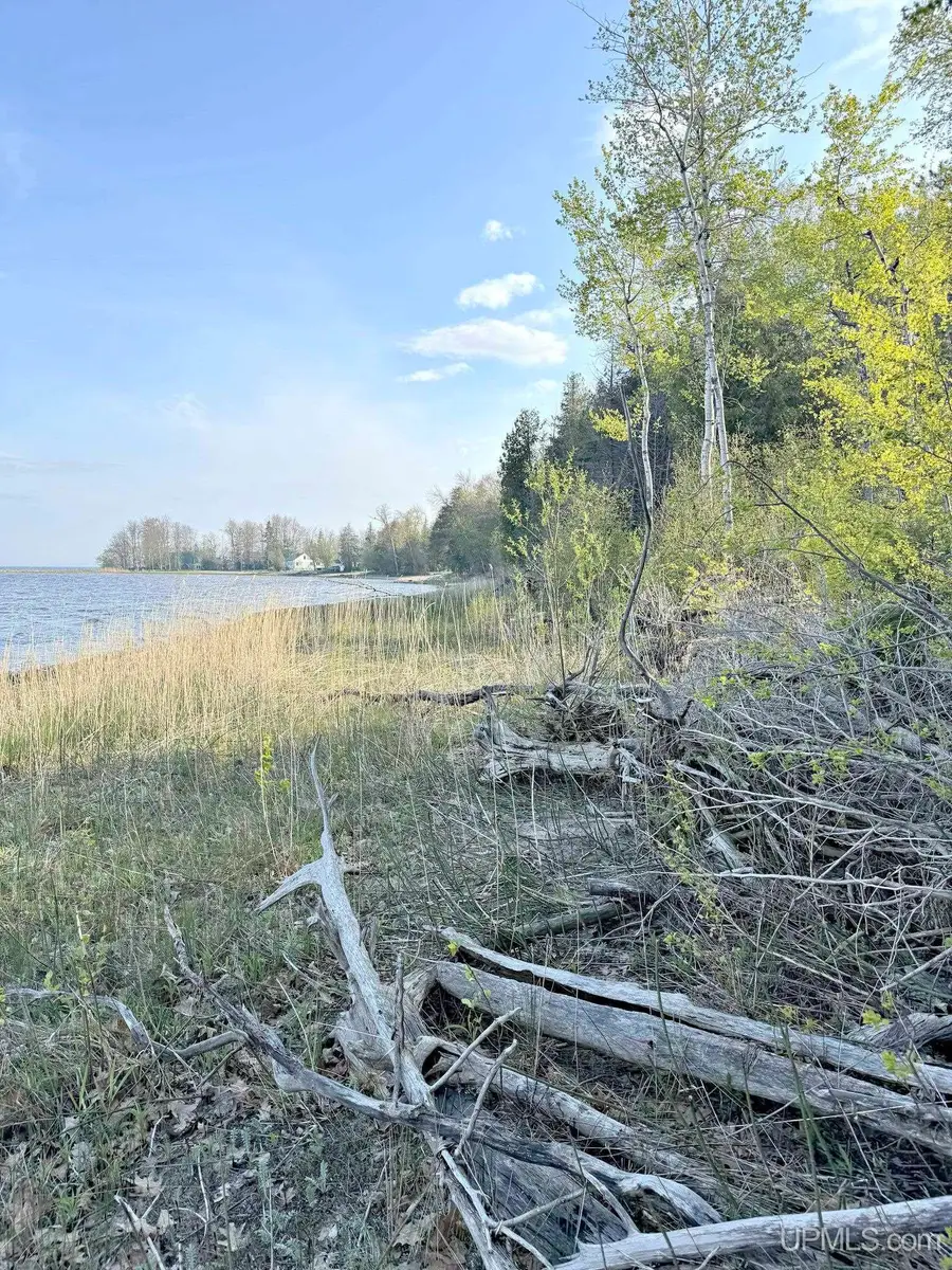 TBD Lot 2 M-35, Menominee, MI 49858 - #2