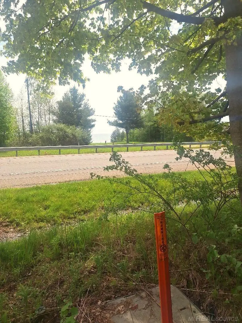 Parcel 2 Lakeshore, Applegate, MI 48401 - #2
