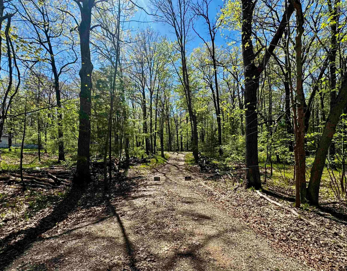 4950 Squirrel Run, Farwell, MI 48622 - #1