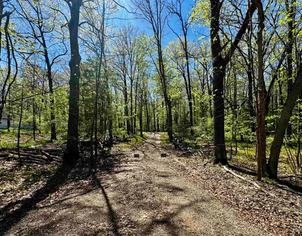 4950 Squirrel Run, Farwell, MI 48622