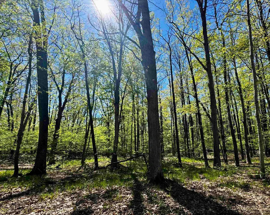 4950 Squirrel Run, Farwell, MI 48622 - #3