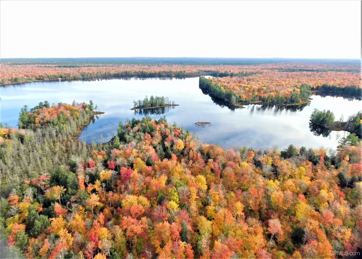 XXX Nevins Lake, Shingleton, MI 49884 - #1
