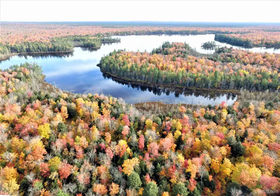 XXX Nevins Lake, Shingleton, MI 49884 - #3