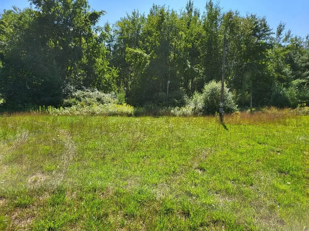 498 Ridge, Gladwin, MI 48624 - #1
