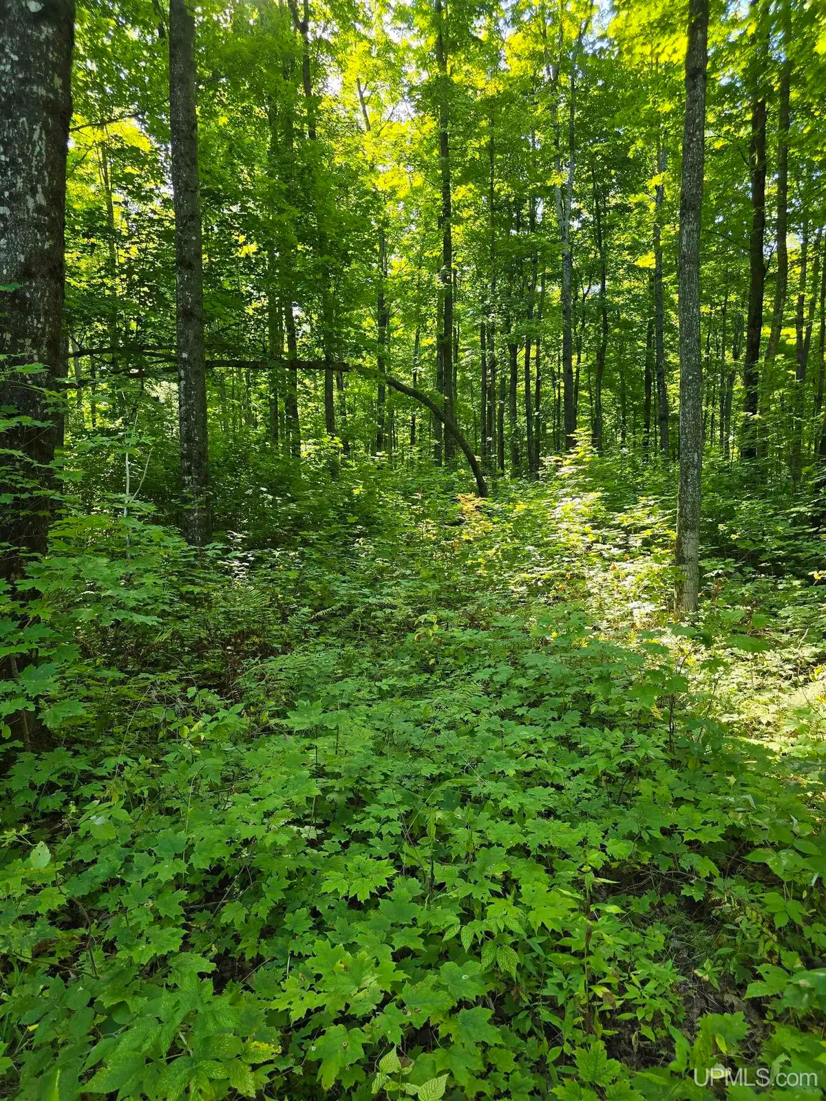 Unit 12 Redridge Creek, Atlantic Mine, MI 49905 - #1
