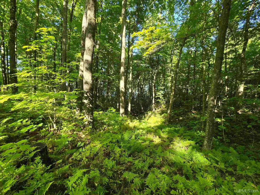 Unit 12 Redridge Creek, Atlantic Mine, MI 49905 - #3