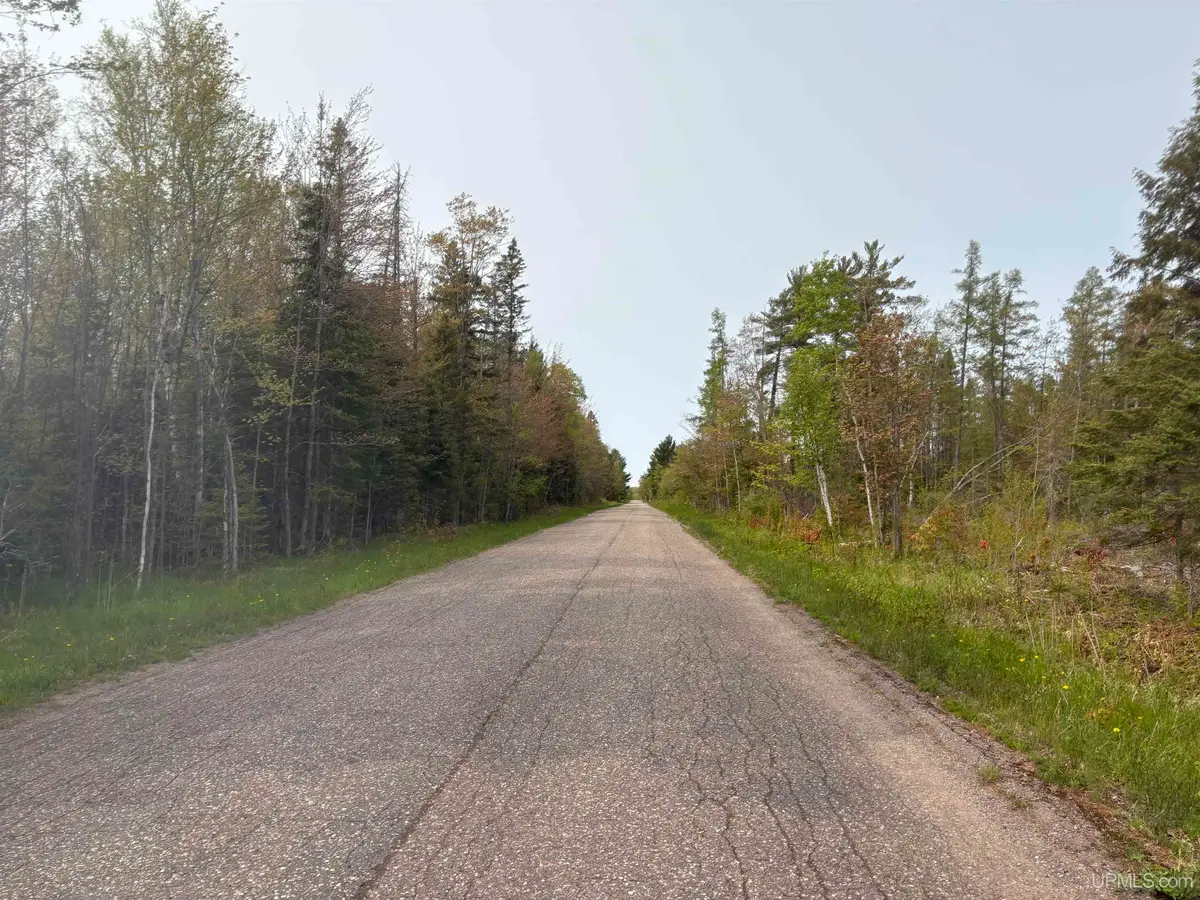 Parcel C Kunde, Skandia, MI 49885 - #1