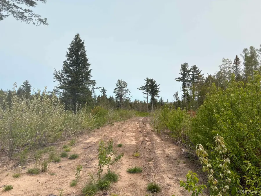 Parcel C Kunde, Skandia, MI 49885 - #3