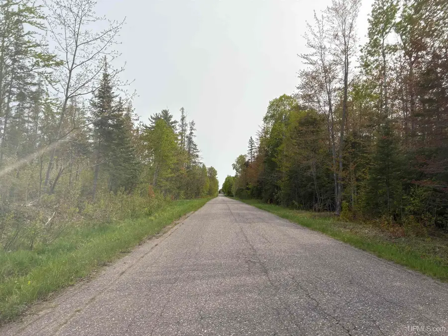 Parcel A Kunde Road, Skandia, MI 49885 - #2