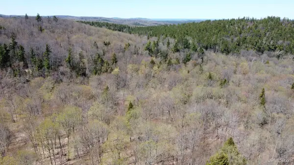 TBD Co Rd 510, Ishpeming, MI 49849