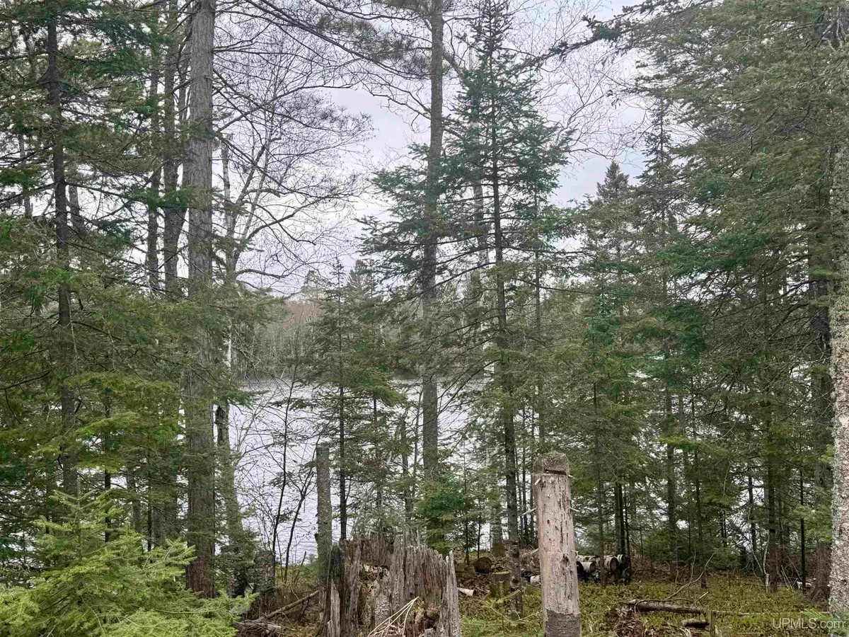 TBD N Horseshoe Lake, Republic, MI 49879 - #1