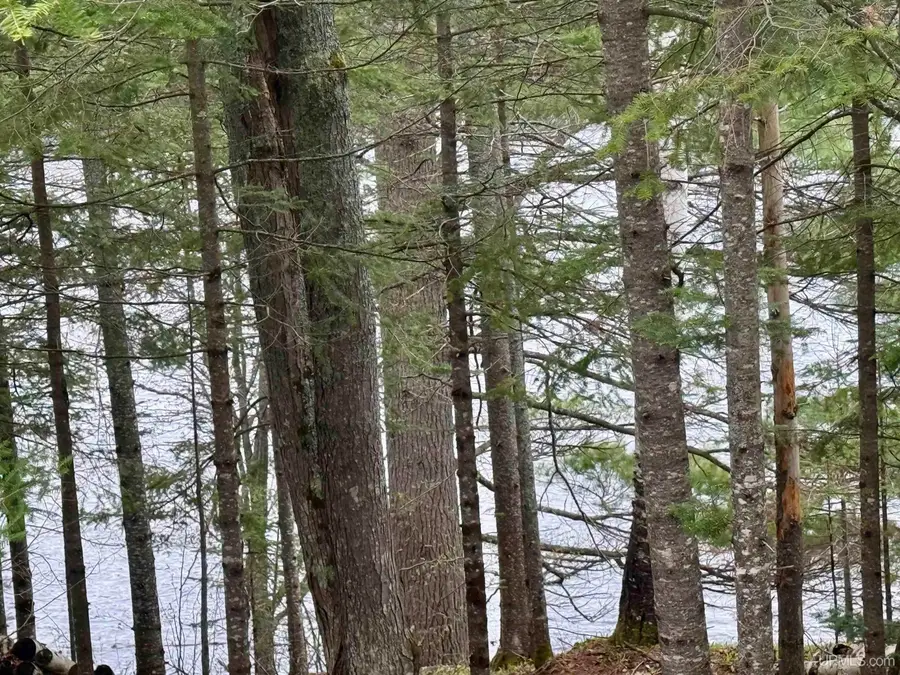 TBD N Horseshoe Lake, Republic, MI 49879 - #2