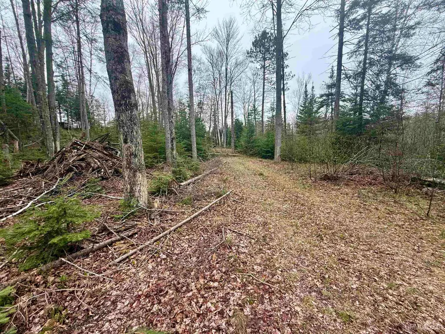 TBD N Horseshoe Lake, Republic, MI 49879 - #3
