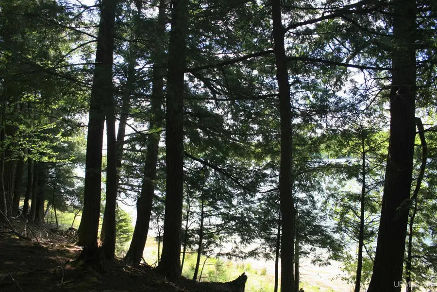 TBD Smoky Lake, Stambaugh, MI 49935 - #2