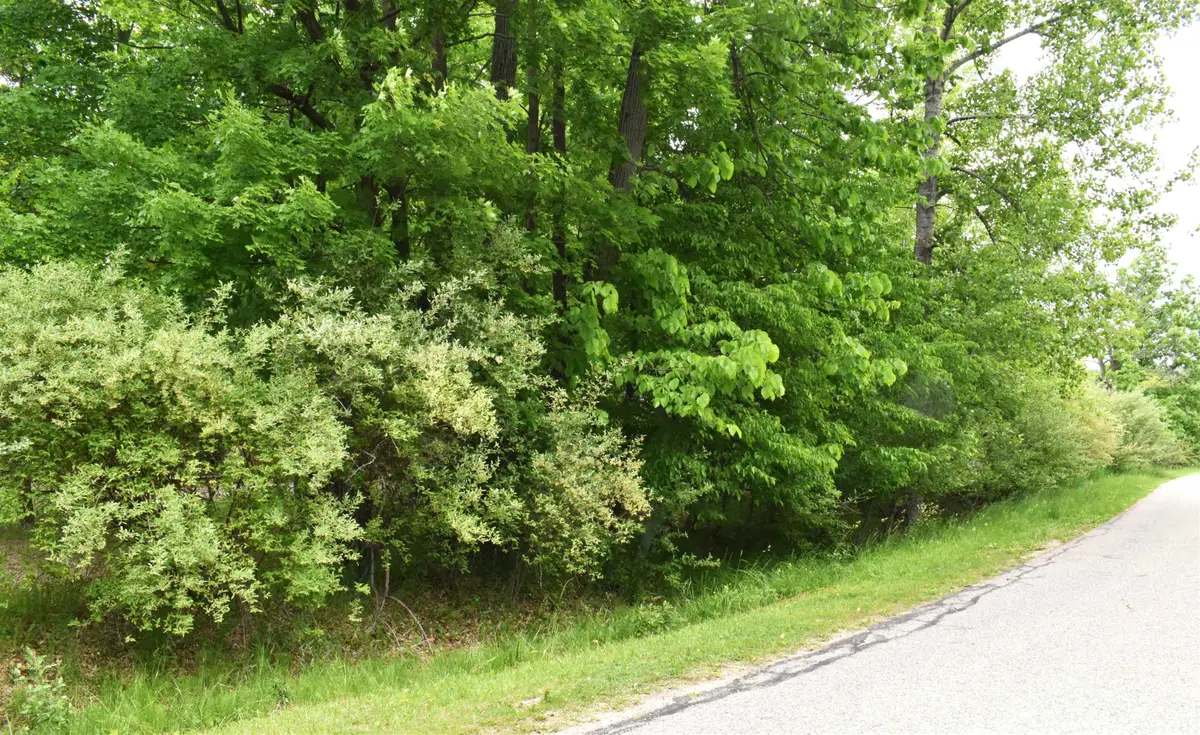 Lot 271 Islanders, Gladwin, MI 48624 - #1