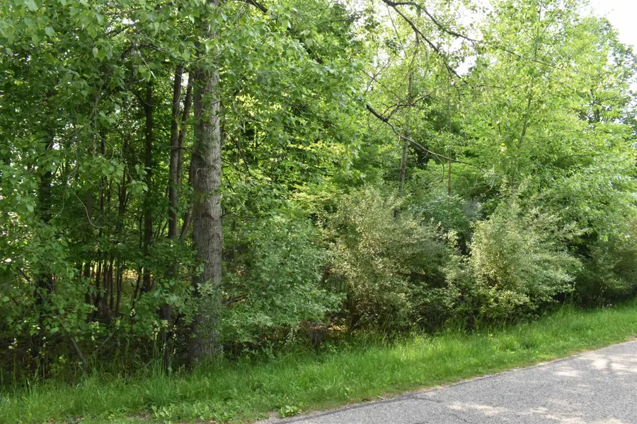 Lot 271 Islanders, Gladwin, MI 48624 - #2